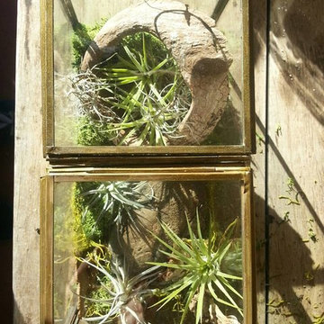 Hand crafted terrariums