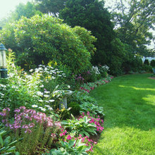 jardin