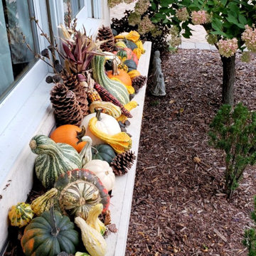 Fall/ Halloween Container Gardens