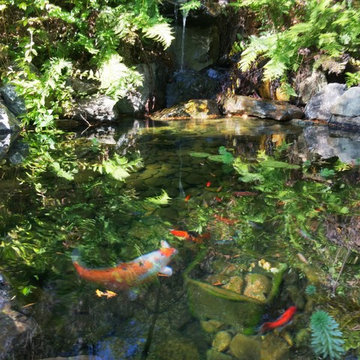 Water Features