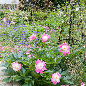 A Multilevelled garden in Heaton Mersey