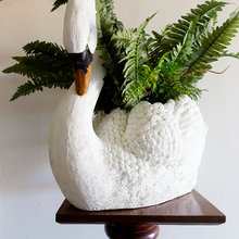 Plant Holders/display