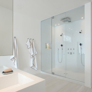 Shower Doors- Steam Straight