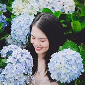 Thảo Nghi Hoàng's photo