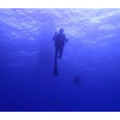 Jenny Roberts's photo
