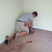 Shane Fuller's photo