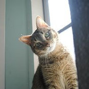 Shawna Quaglio's photo