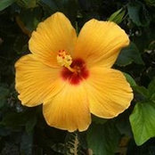 Roxanne Reid's photo