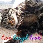 Liz Taylor's photo