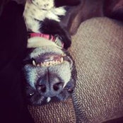 Ava Miner's photo