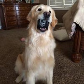 Wendy Span's photo