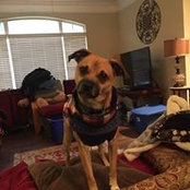 Kimmie Malloy's photo