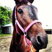 Shannon Manor's photo
