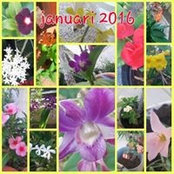 Vonetta Sprok's photo