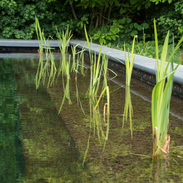 My Houzz: A Netherlands Home Opens Up