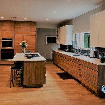 Sleek Contemporary Kitchen Remodel