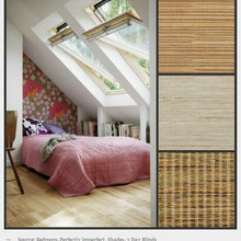 Window Blinds/shades
