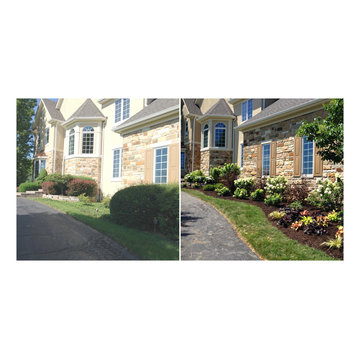 Garden Restoration