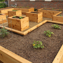 backyard space