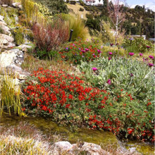 Landscape design