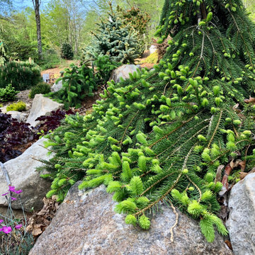 Planting scheme up close.