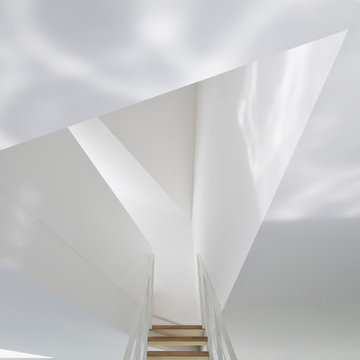 maison D