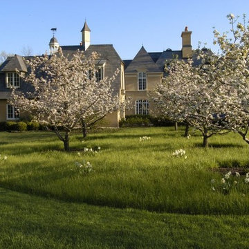 Context-sensitive design - Instant Apple Orchard