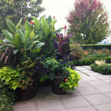 Tropical Garden