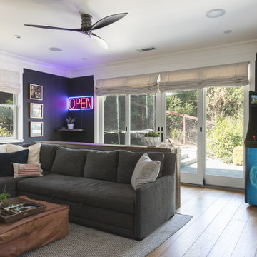 Danville TV Room