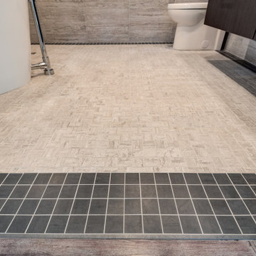 Modern Contemporary Bathroom Urbana IL