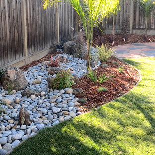 Design ideas for a mid-sized transitional backyard garden in San Francisco with river rock.