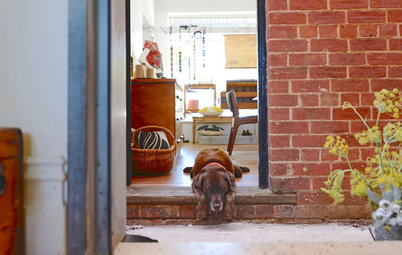 Houzz Call: Send in the Dogs