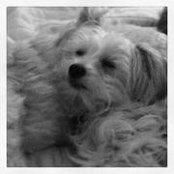 Marsha Pope's photo
