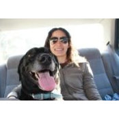 Kim Tsao's photo