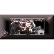 Beverly Miller's photo