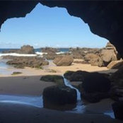 Adam Page's photo