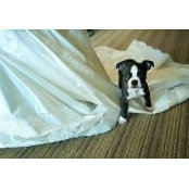 Kelly Kessner's photo