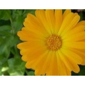 Nancy Beamish's photo