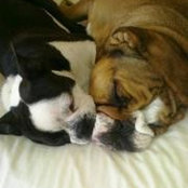 SteveandBeth Sawyer's photo