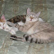 Anne Walton's photo