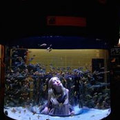 Molly Harrison's photo