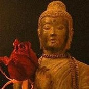 Lisa Lee's photo