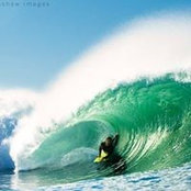 Photo de Luke Stirton