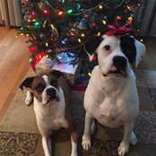 Carol DeVries Witucki's photo