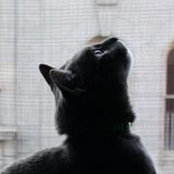 Foto di Michael Mayton