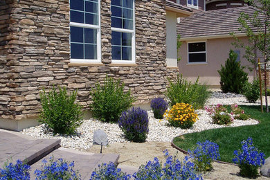 Design ideas for a mid-sized transitional front yard garden in Other.