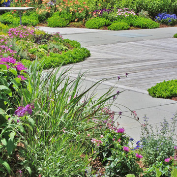 ROOFTOP HEALING GARDEN / A Long Term Heritage Project