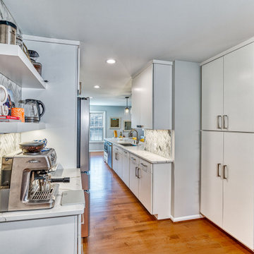 Oakton Contemporary Kitchen Remodel