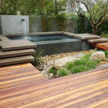 Modern Backyard