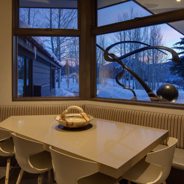 Starwood Modern Remodel Aspen